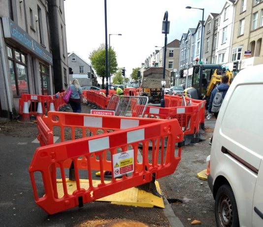 Trees being cut down.
