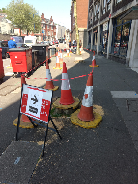 Trees, traffic cones, pavement, red tape